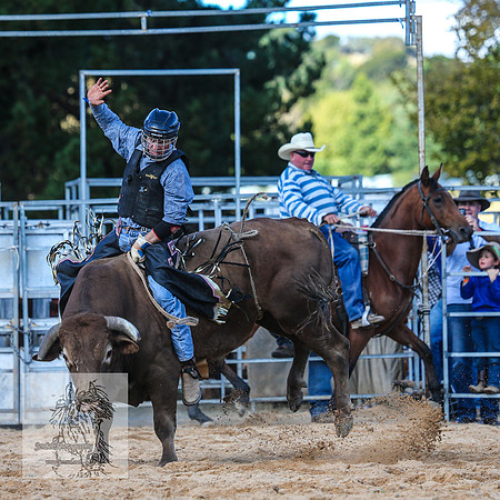 BraidwoodRodeo2015_3375