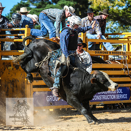 BraidwoodRodeo2015_3465