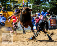 BraidwoodRodeo2015_2251