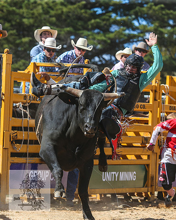 BraidwoodRodeo2015_2069
