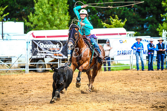 BraidwoodRodeo2017_0103