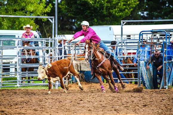 BraidwoodRodeo2017_0411