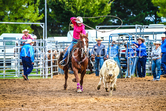 BraidwoodRodeo2017_0357