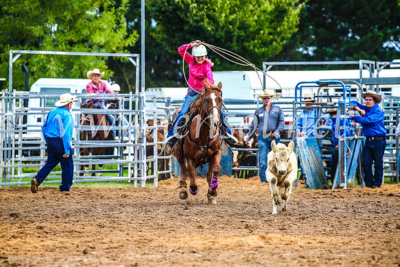 BraidwoodRodeo2017_0364