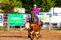 BraidwoodRodeo2017_0084