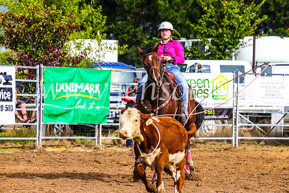 BraidwoodRodeo2017_0084