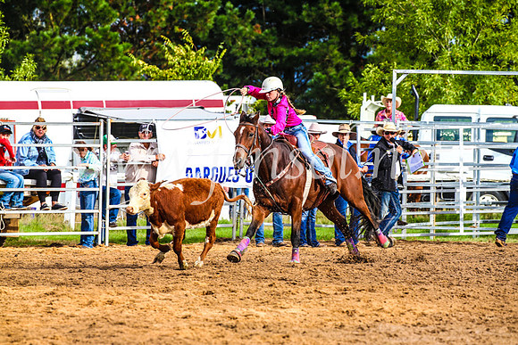 BraidwoodRodeo2017_0069