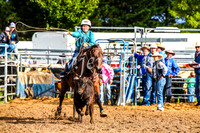 BraidwoodRodeo2017_0066