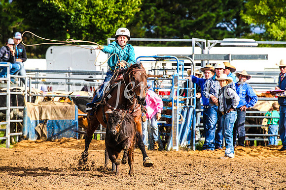 BraidwoodRodeo2017_0066