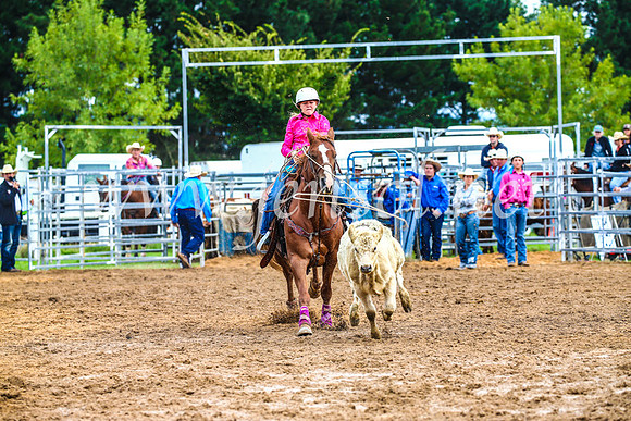 BraidwoodRodeo2017_0360