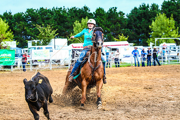 BraidwoodRodeo2017_0106