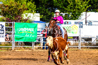 BraidwoodRodeo2017_0075