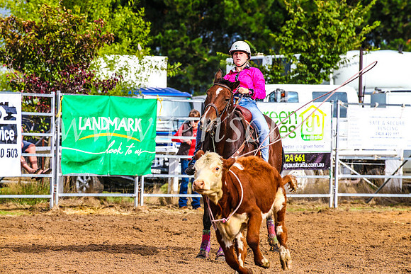 BraidwoodRodeo2017_0075