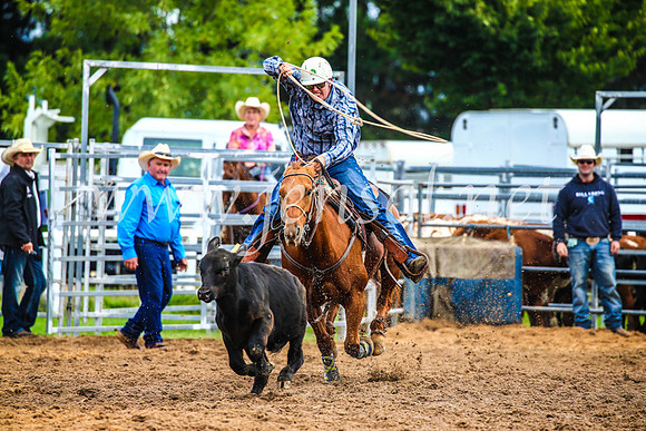 BraidwoodRodeo2017_0380