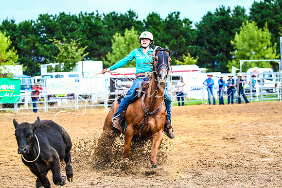 BraidwoodRodeo2017_0107