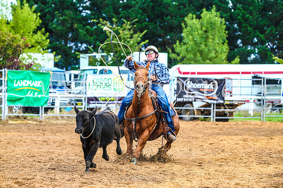BraidwoodRodeo2017_0403