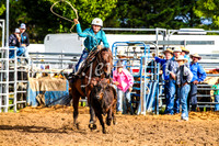 BraidwoodRodeo2017_0062