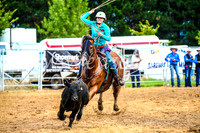 BraidwoodRodeo2017_0096