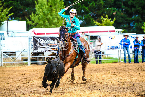 BraidwoodRodeo2017_0096