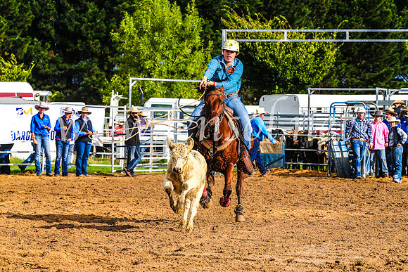 BraidwoodRodeo2017_0053