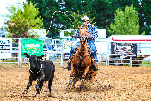 BraidwoodRodeo2017_0404