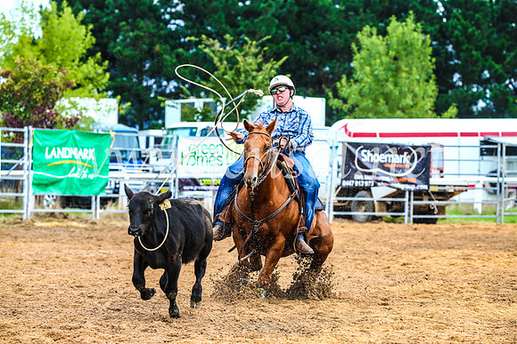 BraidwoodRodeo2017_0402
