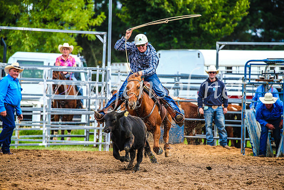 BraidwoodRodeo2017_0383