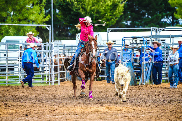 BraidwoodRodeo2017_0356