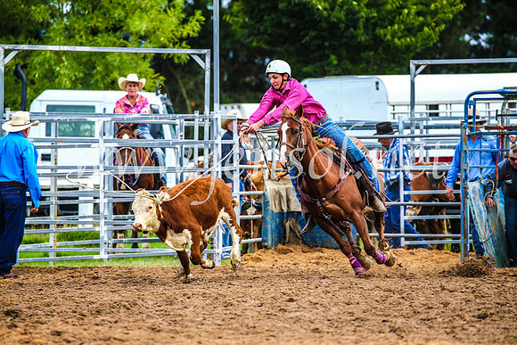 BraidwoodRodeo2017_0410