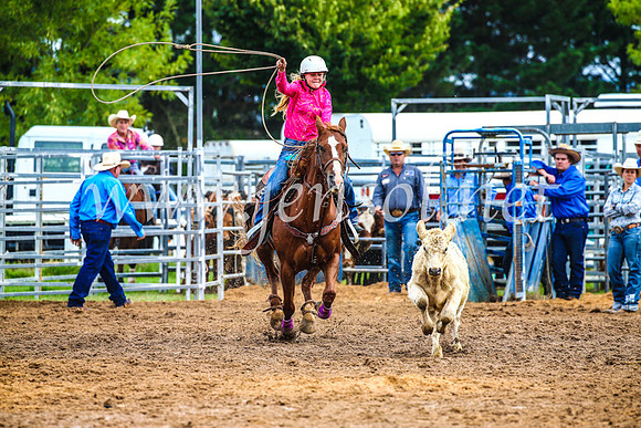 BraidwoodRodeo2017_0365
