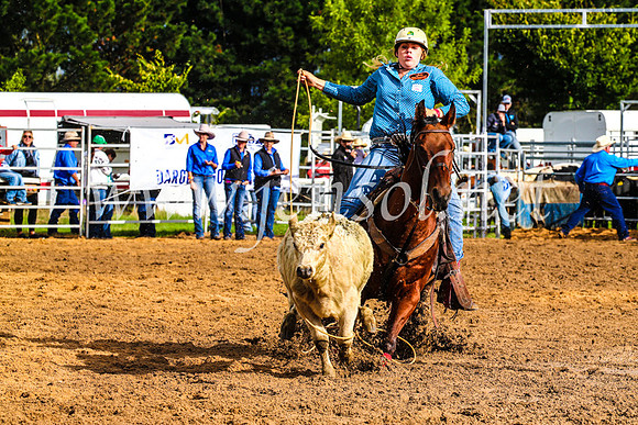 BraidwoodRodeo2017_0048