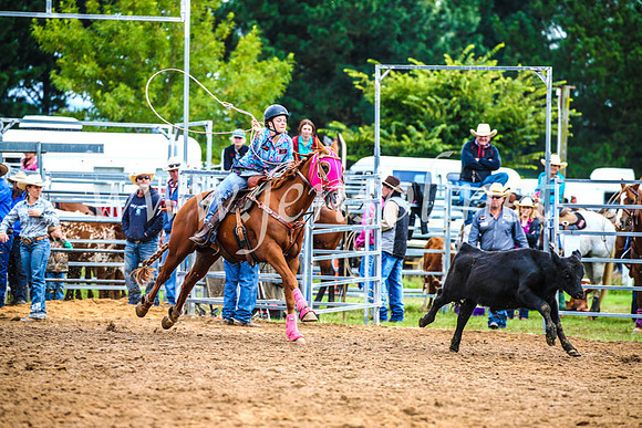 BraidwoodRodeo2017_0342