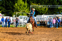 BraidwoodRodeo2017_0046