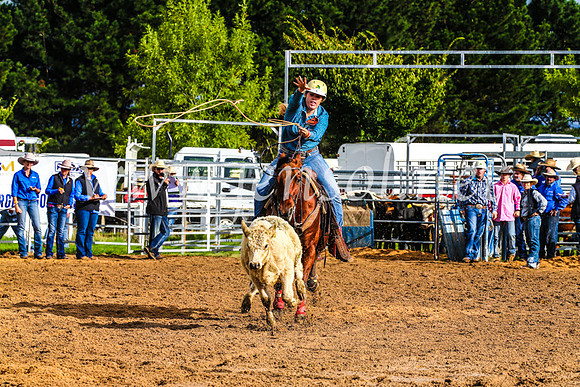 BraidwoodRodeo2017_0046