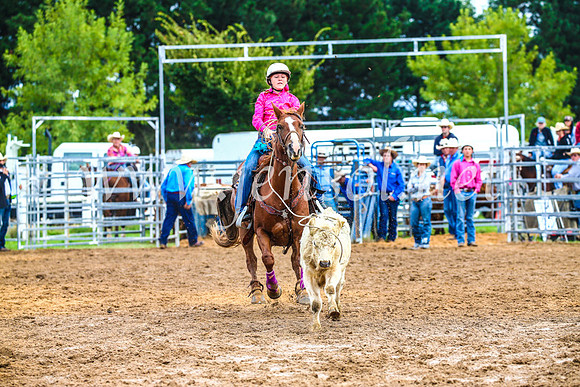 BraidwoodRodeo2017_0377