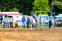 BraidwoodRodeo2017_0094