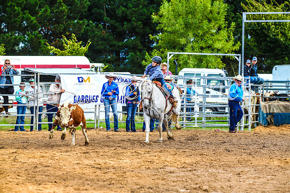 BraidwoodRodeo2017_0094