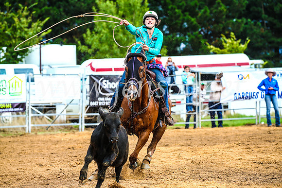 BraidwoodRodeo2017_0097