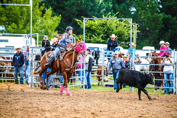 BraidwoodRodeo2017_0346