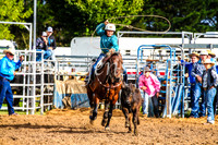 BraidwoodRodeo2017_0063