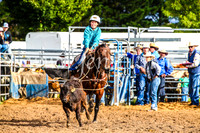 BraidwoodRodeo2017_0061