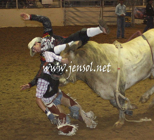 RealDealHorseworld_KJS_0043