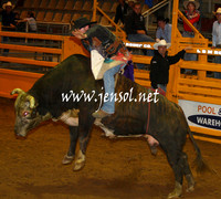RealDealHorseworld_JenSol_0309