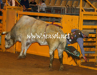 RealDealHorseworld_JenSol_0288