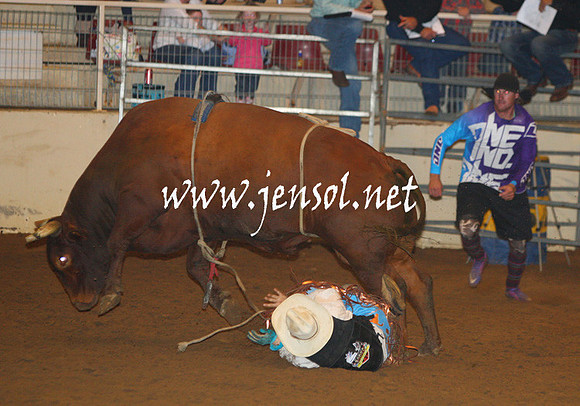 RealDealHorseworld_JenSol_0286