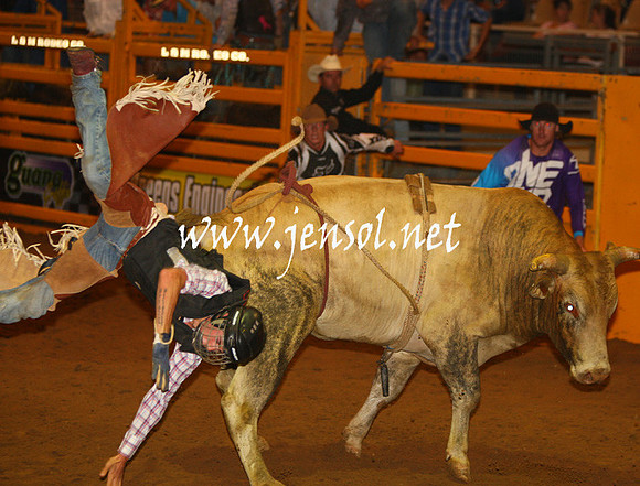 RealDealHorseworld_JenSol_0670