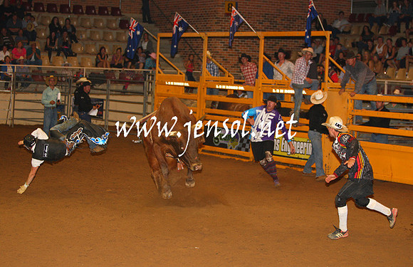 RealDealHorseworld_JenSol_0783