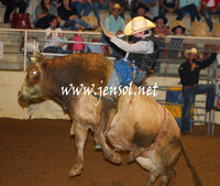 RealDealHorseworld_JenSol_0270