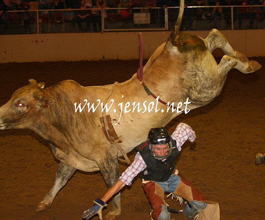 RealDealHorseworld_JenSol_0676