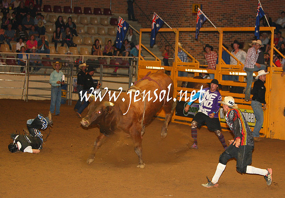RealDealHorseworld_JenSol_0784